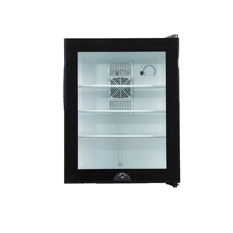 Wine Beer Mini Fridge - Mini lodówka chłodziarka 40L z szklaną